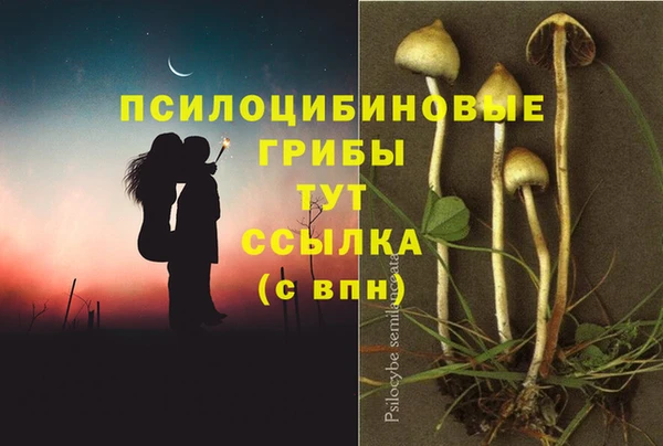 МДМА Гусиноозёрск