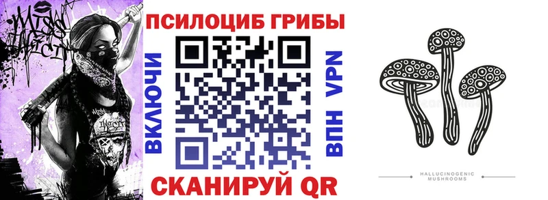 наркошоп Заинск Псилоцибиновые грибы ЛСД