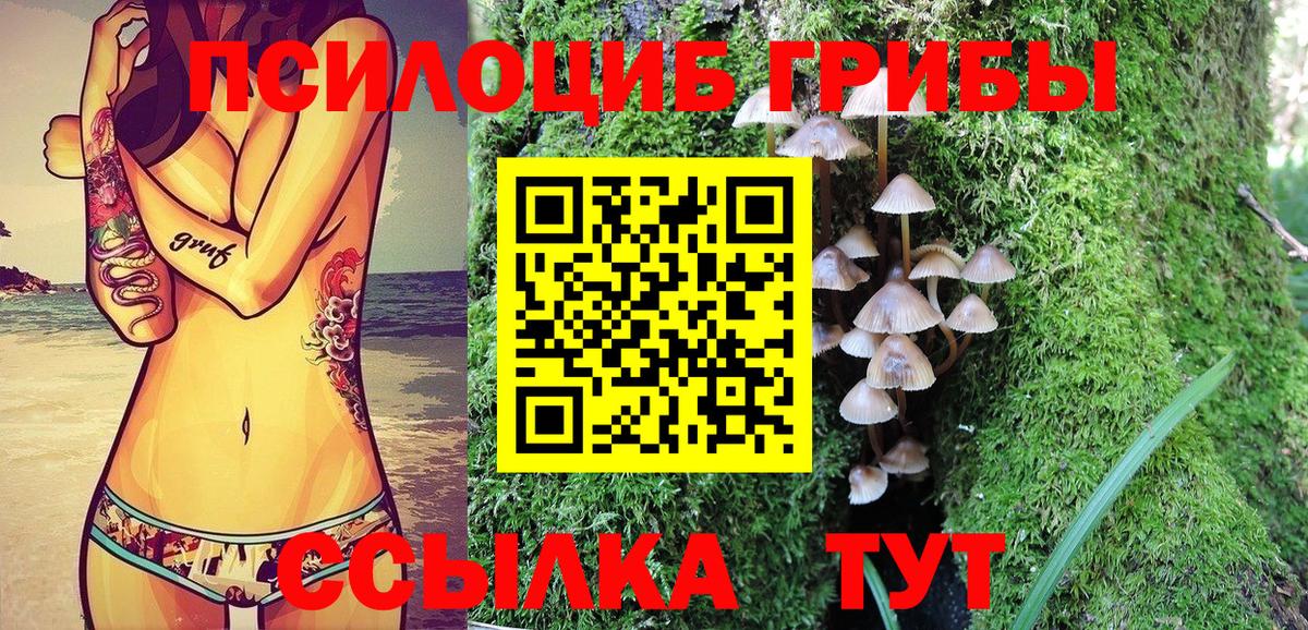 Заинск  Галлюциногенные грибы Magic Shrooms  Галлюциногенные грибы MAGIC MUSHROOMS  Вход с VPN 
