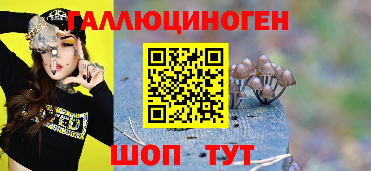 Псилоцибиновые грибы Psilocybe Заинск